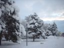 Uxem sous la Neige 28/12/2005  de BEA et PHIL